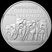 Srebrna moneta 1oz, Sumatran Elephant, Royal Australian Mint, 2022