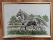 Rysunek pastelowy z koniem