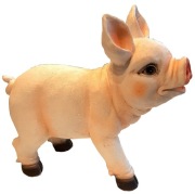 Skarbonka ŚWINKA - DUŻA 