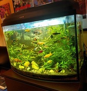 Sprzedam akwarium