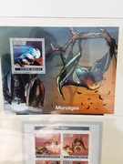 Gwinea Bissau 2007 Mi blok 613 nietoperz idealna  pozycja