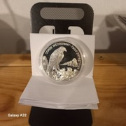 20zł Sokół wędrowny 2008