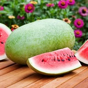 Arbuz Charleston Grey nasiona kolekcjonerskie