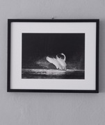 Obraz grafika DENVER 50,8x40,8cm