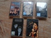 5 sztuk Stare kasety magnetofonowe Celine Dion Shaky 