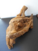 Korzen duzy do akwarium terrarium