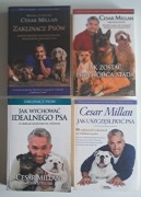Zaklinacz psów Cesar Millan x 4