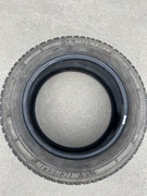 Opona Michelin Agilis Alpin 215/60/R17C