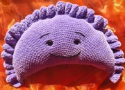 Pieroguszka pluszowa poduszka pieróg – maskotka kibica, handmade