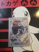 PROBOPASS POR 096/088 PERFECT ORDER