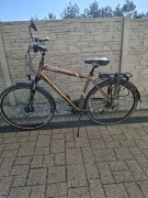 Rower Romet Wagant 5