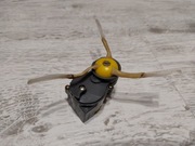 Moduł szczotki bocznej ze szczotką Irobot Roomba 770