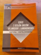 Szkice z dziejów obozów w Lamsdorf/Łambowicach zeszyt 2