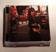 PJ Harvey - Stories from the City, Stories from the Sea