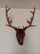 Naturalna głowa daniela z porożem