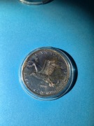 Kanada, 5 dolarów 2014, Orzeł, 1 Oz, Ag999