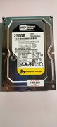 Dysk 3,5" WD 250GB WD2503ABYX 
