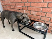 Miska dla psa podwójna, stojak metalowy - 30cm 2x1,8l  Polski Produkt 