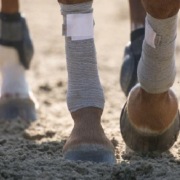 Bandaże treningowe Incrediwear 