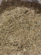 Nasiona mniszek lekarski mlecz