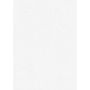 Papier wizytówkowy A4 biały tapeta 246g W04 Kreska