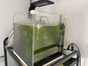 Akwarium(jak nowe)