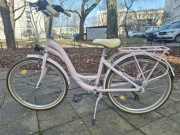 Rower młodzieżowy Romet Panda 1 2022