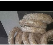 Podkłady słomiane  średnica 20 cm