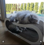 ECO drapak dla kota MiMi z drewnianym frontem