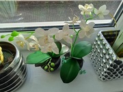STORCZYK SZTUCZNY ORCHIDEA BIAŁA w doniczce betonowej silikon zestaw 2 szt