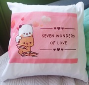 Poduszka 40x40 z Dudu i Bubu – miękkość level max! 