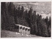 Zakopane Tatry Kolejka Szynowa  Owce 1966r.  j997