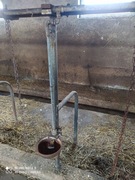 Sprzedam stanowiska z obory