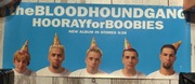 Plakat poster Bloodhound Gang