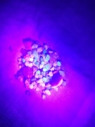 Kamienie aleksandryjskie