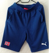 krótkie spodenki PUMA NORWAY international Team Pro Elite  r. S