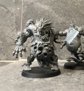 Warhammer 40k Kill Team - The Gellerpox Infected - złożone.