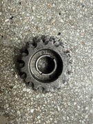 Wolnobieg Regina G.S.  Corse 6-rzędowy 13-19T