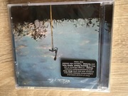 Cluster & Eno  – Cluster & Eno folia