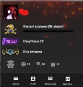 KONTO CS2 PRIME | Ładne | Premier ready | OKAZJA | Global wingman |