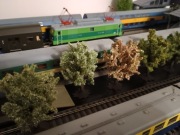 Piko skala HO drzewka, drzewko ma makietę