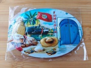 Magnes na lodówkę - Tunezja , Djerba