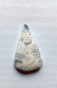 Unikatowy opal dendrytowy  (Merlinit) kaboszon