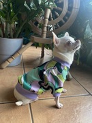 Ubranko w kwiaty dla psa - rozmiar S 