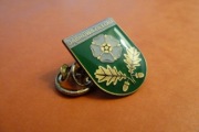 Dąbrowa Zielona Pow. Częstochowa Herb pin przypinka 
