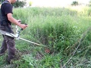 Wykaszanie terenów zielonych 