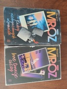 Remigiusz Mróz Inne tonacje ciszy, Kadry niedosłyszanych wspomnień