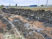 Czarna ziemia   chumus oddam  