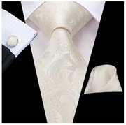 Elegancki Zestaw Krawat Poszetka Spinki Wesele - Szampański Złoty 3229