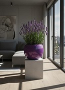 DONICA PREMIUM KULA DO DOMU i OGRODU 29cm NOWOCZESNA, HIT, DOWOLNY KOLOR